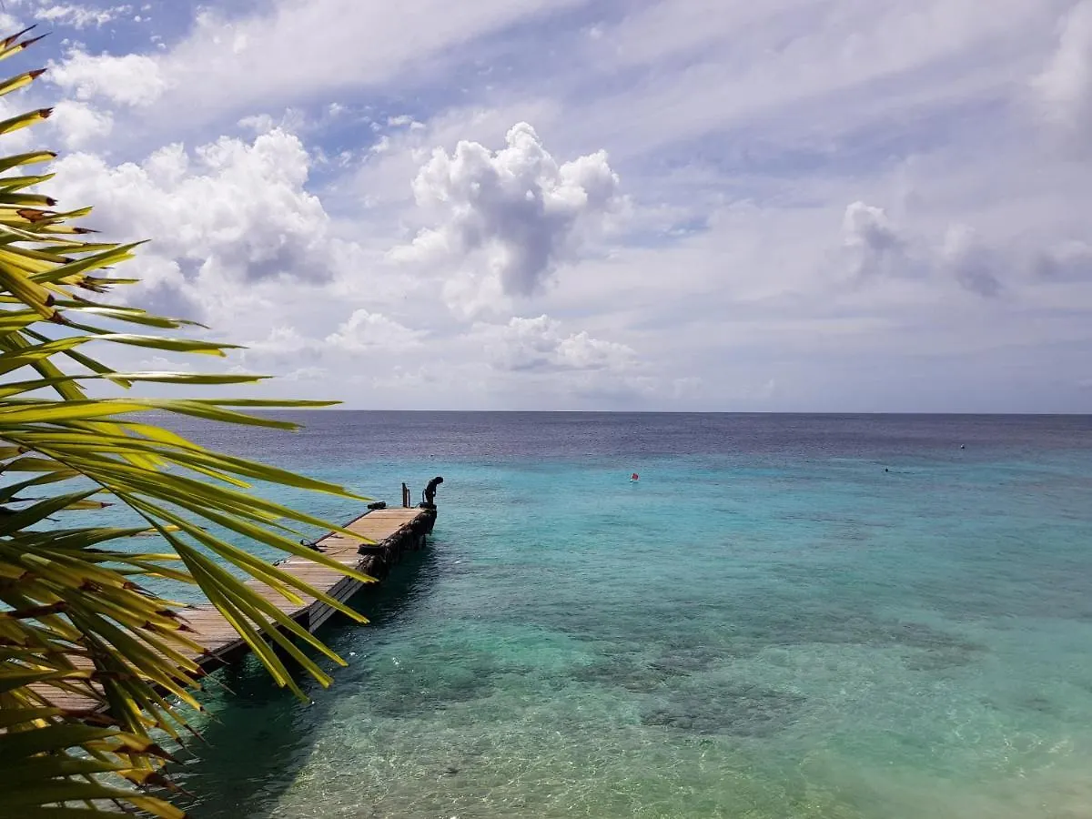 Marazul Dive Apartment F1 Westpunt